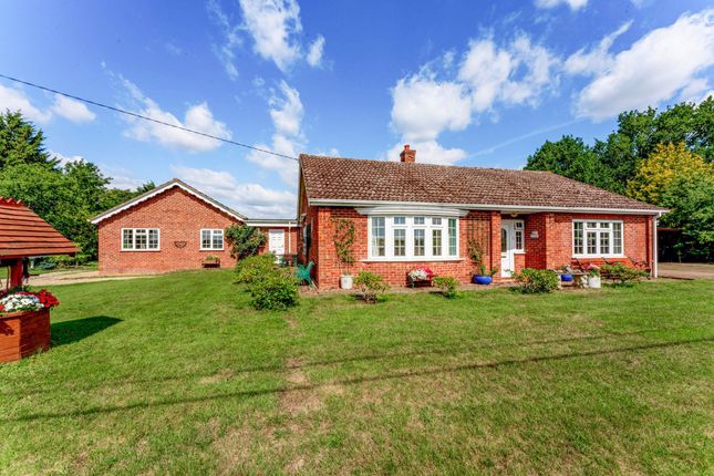 Bury Road, Diss IP22 5 bed detached bungalow for sale