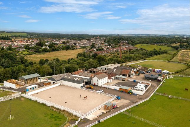 Equestrian property for sale