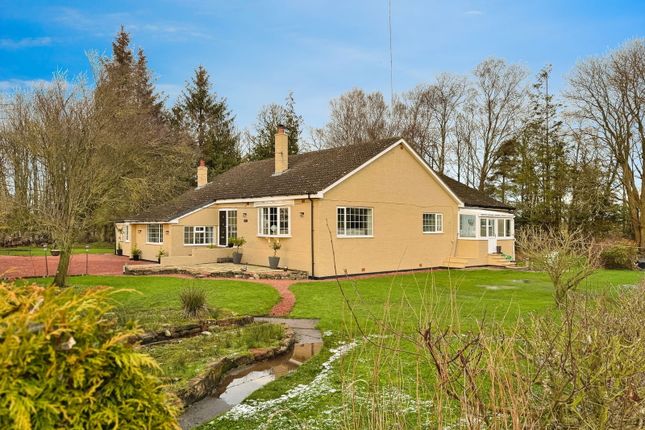 Carlisle CA6 6 bed detached bungalow for sale