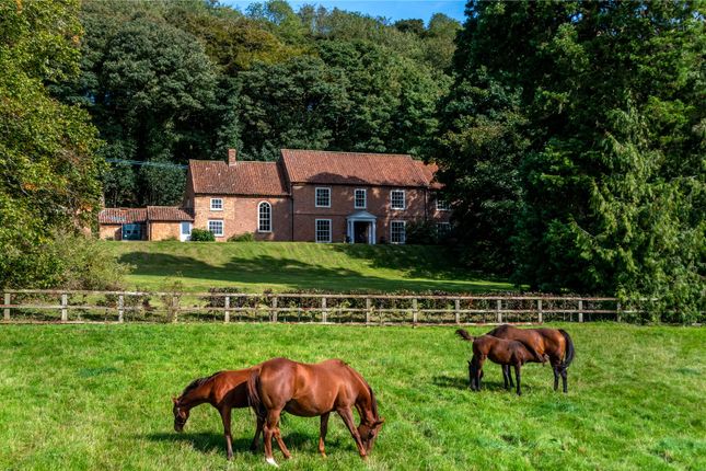 4 bedroom equestrian property for sale