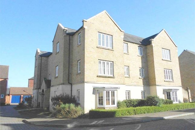 1 bed flat