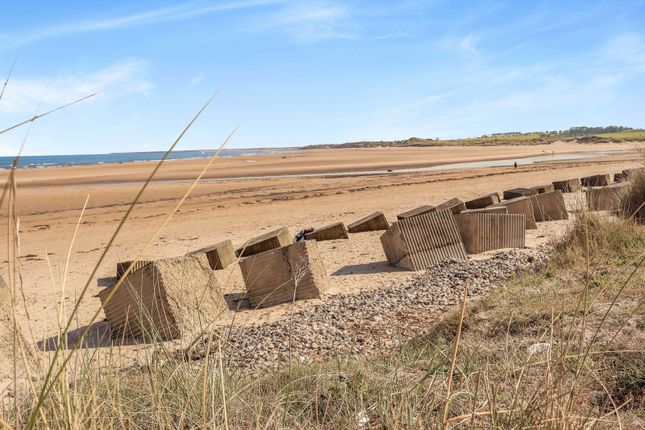 South View, Alnmouth