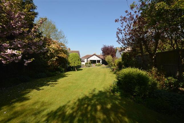 Broad Road, Braintree, CM7 3 bed detached bungalow for sale