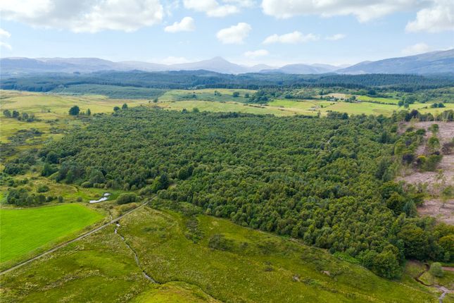 Borland Wood, Gartmore, Stirling... Land for sale