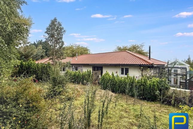 Warenford, Warenford, Belford... 4 bed detached bungalow for sale