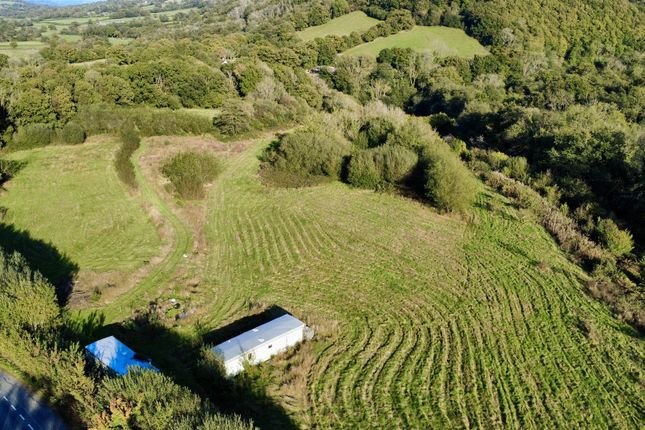 Taliaris, Llandeilo Smallholding for sale