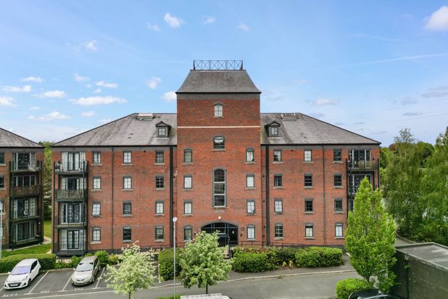 1 bed flat