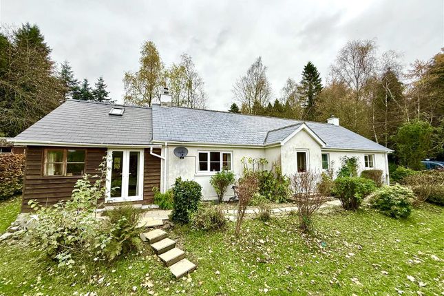 Talsarn, Lampeter 4 bed property with land for sale