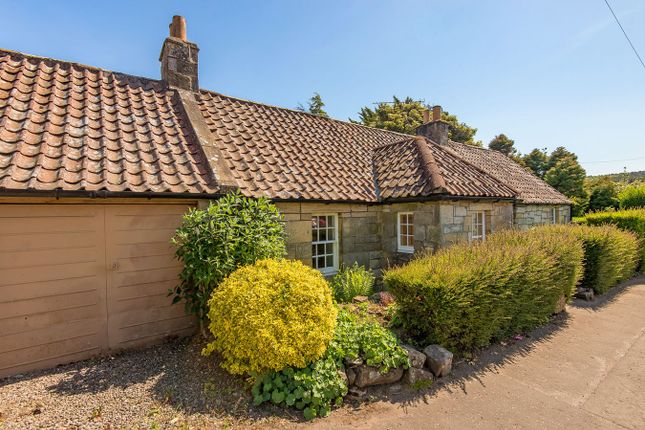 Main Street, Strathkinness, St... 2 bed semi