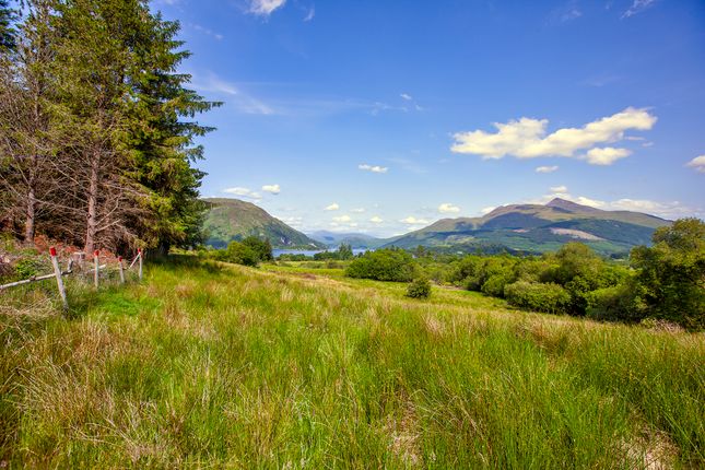 Land for sale