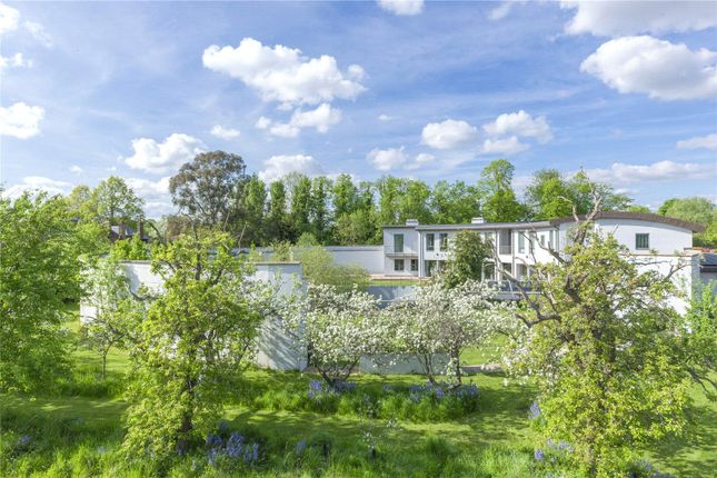 Bushy Park, Hampton Hill, Hampton... 6 bed detached house for sale