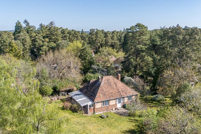 Sandy Lane, Farnham GU10 2 bed bungalow for sale