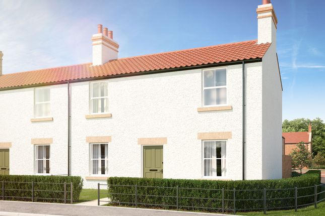 The Rickleton at Hedworths Green at... 3 bed end of terrace house for sale