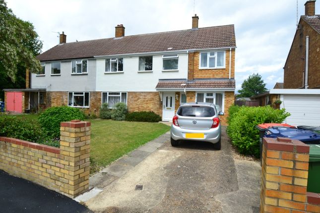 7 bed semi-detached house
