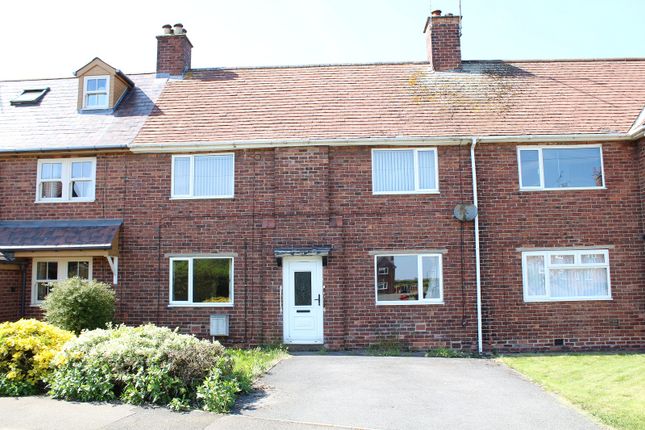 St. Leonards Place, Shirland... 3 bed terraced house for sale