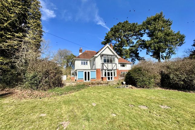 Garden Road, Burley, Ringwood... 9 bed equestrian property for sale