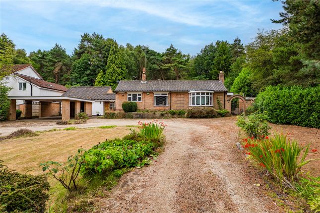 Longdale Lane, Ravenshead... 4 bed bungalow for sale