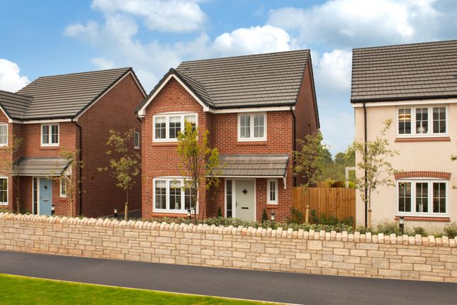 The Scrivener at Forest Walk, West... 4 bed detached house for sale