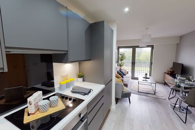 1 bed flat