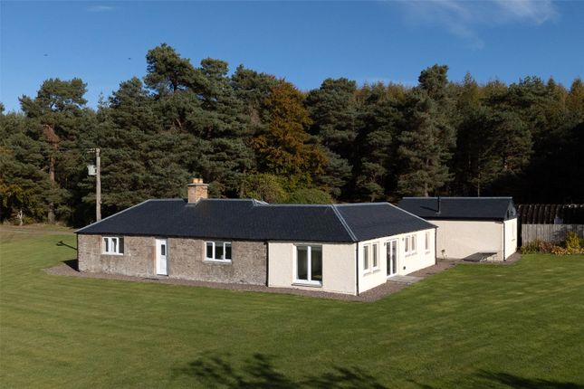 Eastfield Of Pendicle, Perth, Perth... 4 bed detached bungalow for sale
