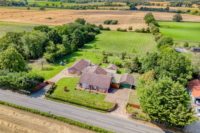 Bury Road, Diss IP22 5 bed detached bungalow for sale