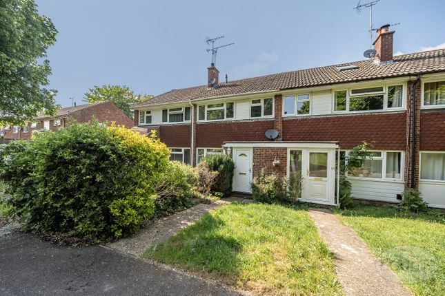 Buttermer Close, Wrecclesham... 3 bed terraced house for sale