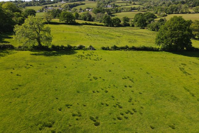 Gurrey Bank, Llandeilo, SA19 Smallholding for sale