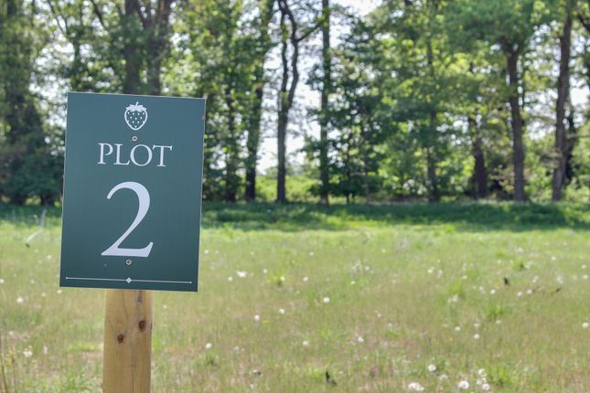 Strawberry Fields, Narford Road... Land for sale