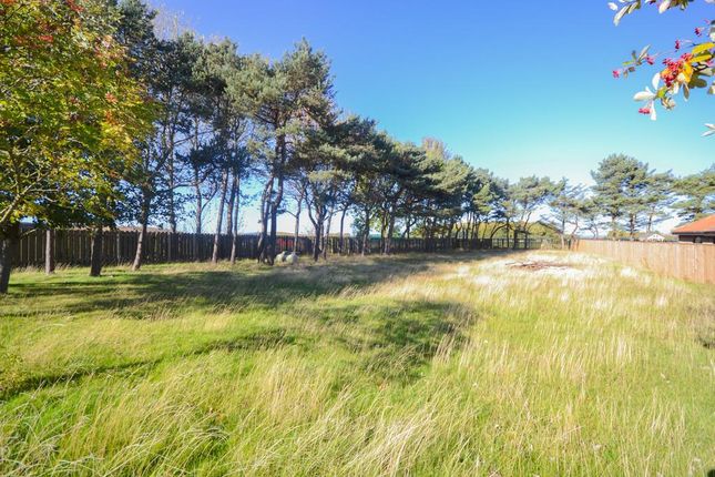 Guisborough Road, Saltburn