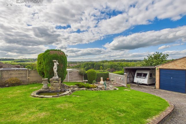 3 bed detached bungalow