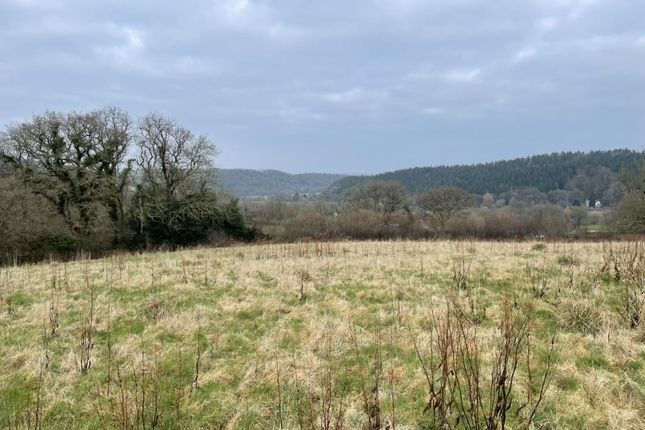 High Bickington, Umberleigh Land for sale