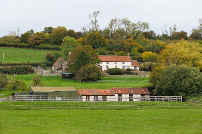 Mudgley, Wedmore 7 bed detached house for sale