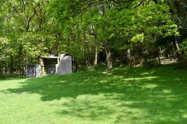 Linwood, Ringwood, BH24 Land for sale
