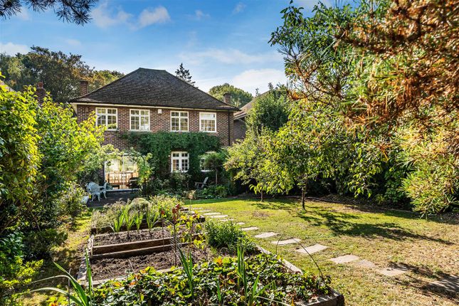 The Drive, South Wallington 4 bed house for sale