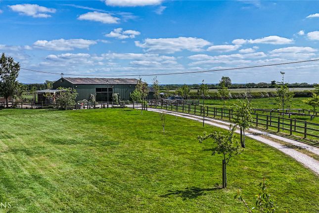 Equestrian facility for sale