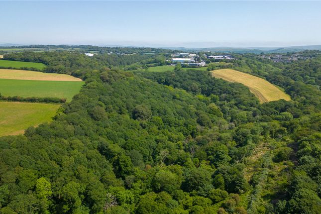 Woodland West Of Roborough, Tamerton... Land for sale