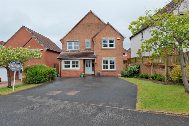 Pine Crescent, Hamilton 4 bed detached house for sale