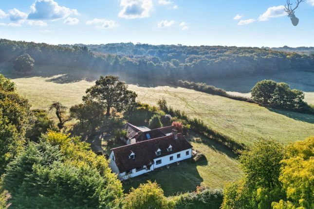 Mount End, Theydon Mount, Epping 5 bed detached house for sale