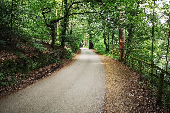 Woodland Plots off Reacliffe Road... Land for sale