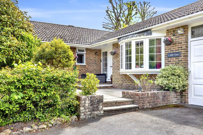 School Lane, Storrington, Pulborough 3 bed detached bungalow for sale