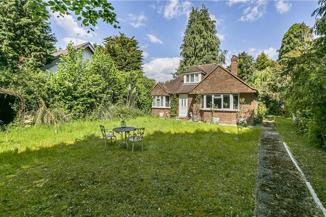 Bagshot Road, Chobham, Woking... 4 bed detached house for sale