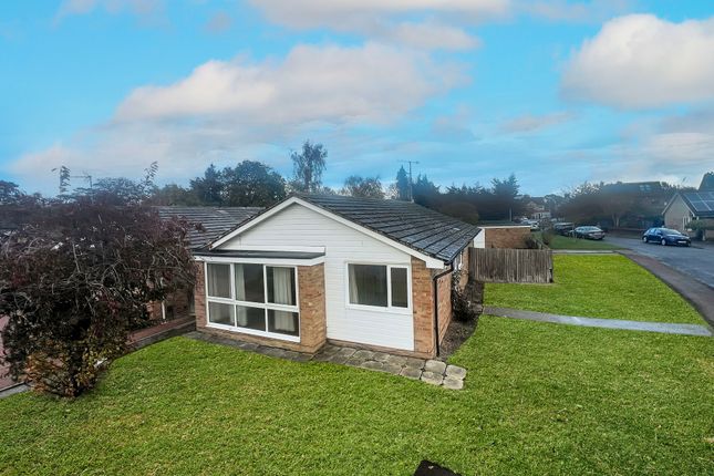 3 bed bungalow