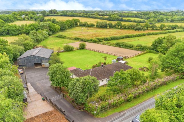 Equestrian facility for sale