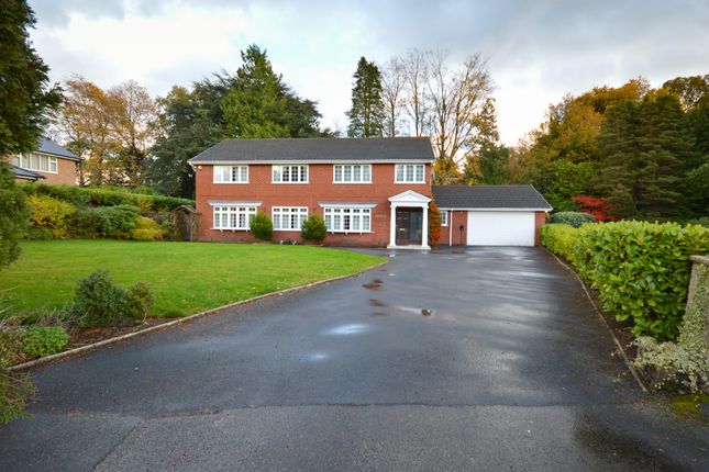 6 bed detached house