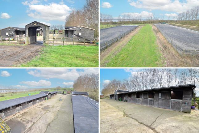 Equestrian facility for sale