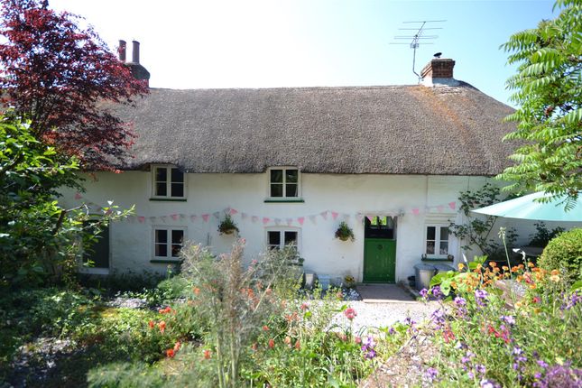 Boveridge, Cranborne, Wimborne 2 bed semi