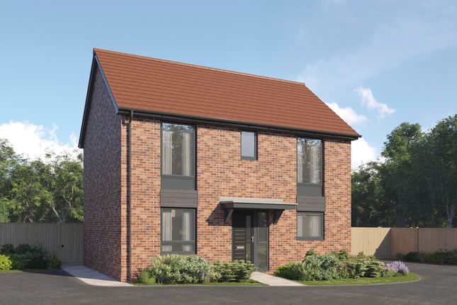 The Tenterer at Tattenhoe Meadows... 3 bed detached house for sale