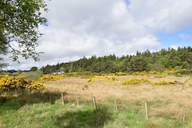 Plots at Kildary, Kildary, Invergordon Land for sale