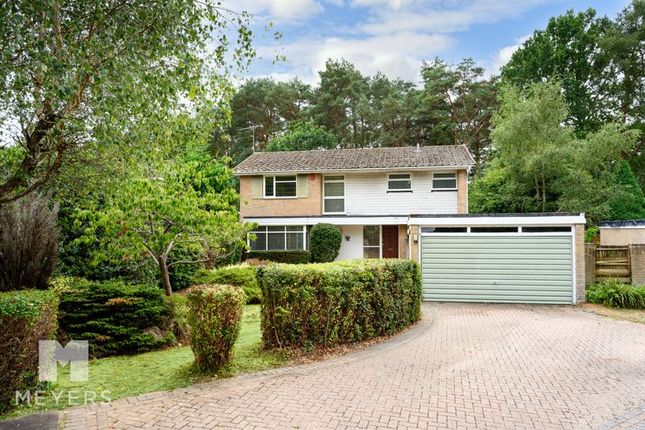 Shelley Close|Ashley Heath|Ringwood|BH24 4 bed detached house for sale