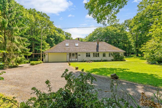 Lower South Park, South Godstone RH9 4 bed equestrian property for sale